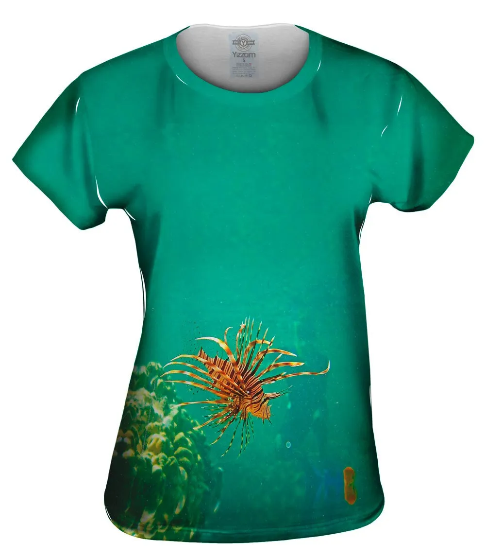 Baby Lionfish Underwater